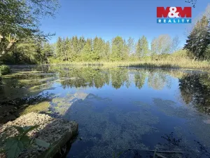 Prodej rybníku, Rychnov nad Kněžnou - Lipovka, 5963 m2