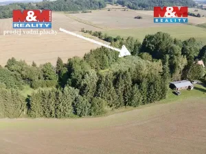 Prodej rybníku, Rychnov nad Kněžnou - Lipovka, 5963 m2