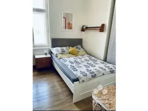Pronájem bytu 1+kk, Praha - Karlín, Šaldova, 25 m2