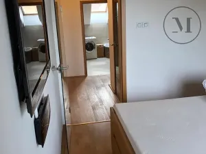 Pronájem bytu 3+kk, České Budějovice, Branišovská, 140 m2