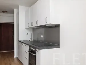 Pronájem bytu 1+1, Praha - Malá Strana, Újezd, 43 m2