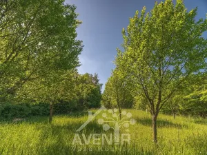 Prodej sadu/vinice, Nedašov, 1282 m2
