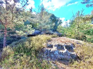 Prodej zemědělské usedlosti, Kanina, 500 m2