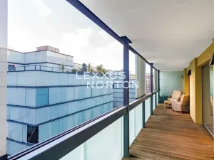 Pronájem bytu 2+kk, Praha - Karlín, Šaldova, 54 m2