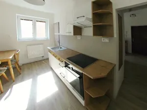 Pronájem bytu 2+1, Heřmanova Huť, Sídliště, 56 m2