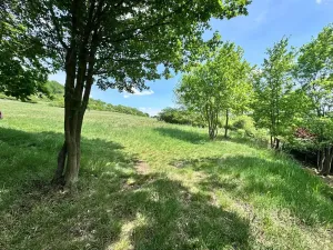 Prodej chaty, Ústí nad Labem, 12 m2