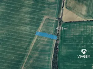 Prodej podílu pole, Litenčice, 2129 m2