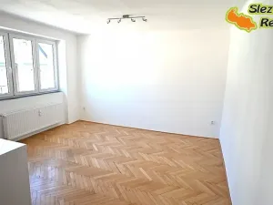 Pronájem bytu 3+1, Opava, Krnovská, 78 m2