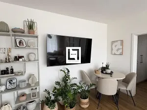 Pronájem bytu 2+kk, Olomouc, Aloise Rašína, 50 m2
