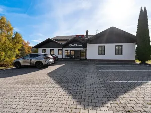 Prodej bytu 2+1, Železná Ruda, 55 m2