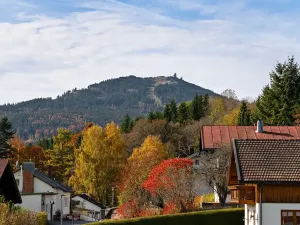 Prodej bytu 2+1, Železná Ruda, 55 m2
