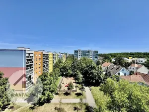 Prodej bytu 3+kk, Praha - Čimice, Okořská, 66 m2