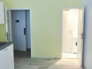 Pronájem bytu 1+1, Praha, V předpolí, 43 m2