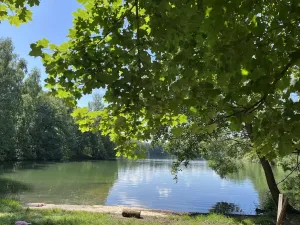 Prodej rodinného domu, Rodvínov, 134 m2