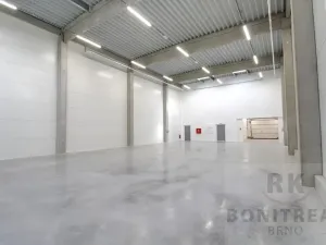Pronájem skladu, Brno, Vinohradská, 457 m2