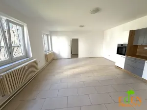 Pronájem bytu 3+kk, Plzeň, Úslavská, 75 m2