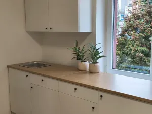 Pronájem bytu 2+kk, Plzeň, Vejprnická, 40 m2