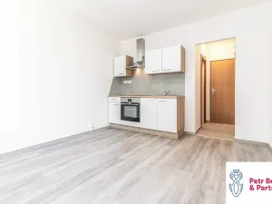 Pronájem bytu 1+kk, Rakovník, Šamotka, 20 m2