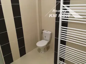 Pronájem bytu 1+kk, Kroměříž, Riegrovo náměstí, 36 m2