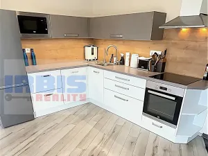 Pronájem bytu 2+kk, Plzeň, Papírnická, 50 m2