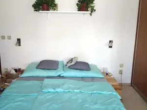 Pronájem bytu 2+1, Olomouc - Nová Ulice, Na Vozovce, 66 m2