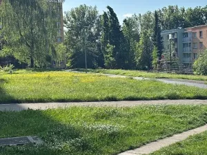 Prodej bytu 2+1, Ostrava, Lumírova, 60 m2