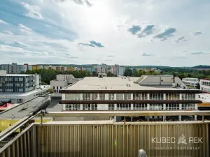 Prodej bytu 2+kk, Tábor, Berlínská, 46 m2