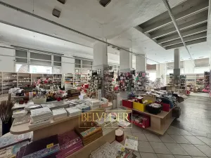Pronájem obchodního prostoru, Teplice, Školní, 441 m2