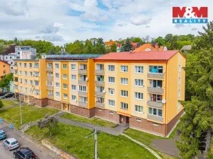 Prodej bytu 1+1, Cheb, Boženy Němcové, 36 m2