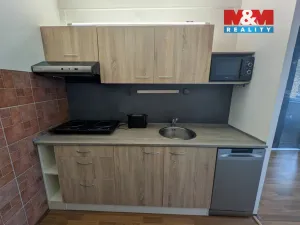 Pronájem bytu 1+kk, Slaný, Na Dolíkách, 33 m2