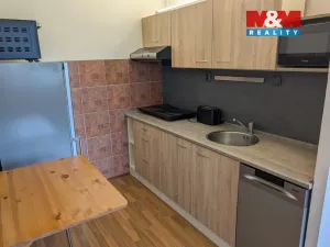 Pronájem bytu 1+kk, Slaný, Na Dolíkách, 33 m2