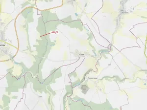 Dražba lesa, Česká Bělá, 90 m2