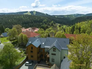 Prodej bytu 2+kk, Abertamy, Pražská, 46 m2