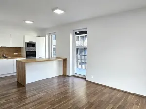Pronájem bytu 2+kk, Brno, Kollárova, 85 m2