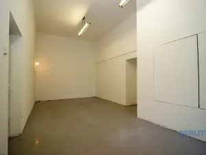 Pronájem skladu, Brandýs nad Labem-Stará Boleslav, Pražská, 73 m2