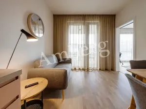 Pronájem bytu 2+kk, Praha - Karlín, Breitfeldova, 40 m2