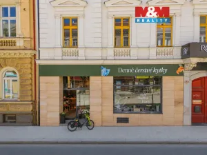 Pronájem obchodního prostoru, Plzeň - Jižní Předměstí, Americká, 145 m2