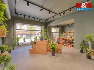 Pronájem obchodního prostoru, Plzeň - Jižní Předměstí, Americká, 145 m2