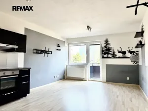 Pronájem bytu 1+kk, Brno, Houbalova, 39 m2