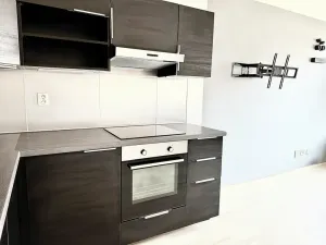 Pronájem bytu 1+kk, Brno, Houbalova, 39 m2
