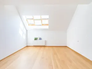 Pronájem bytu 2+kk, Praha - Žižkov, Jeronýmova, 68 m2