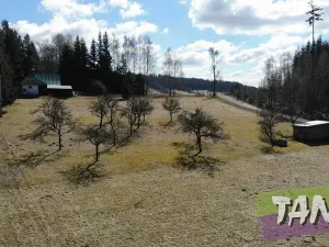 Prodej louky, Rokytnice nad Jizerou, 1728 m2