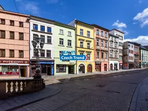 Pronájem bytu 3+kk, Olomouc, Denisova, 105 m2