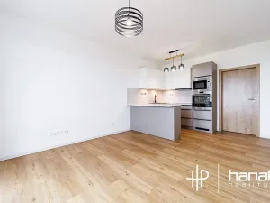 Pronájem bytu 1+kk, Olomouc, Aloise Rašína, 35 m2
