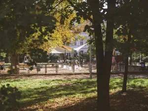 Pronájem bytu 1+kk, Brno, Jaselská, 22 m2