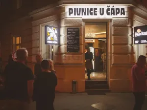Pronájem bytu 1+kk, Brno, Jaselská, 27 m2