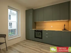 Pronájem bytu 1+kk, Praha, Štěchovická, 45 m2