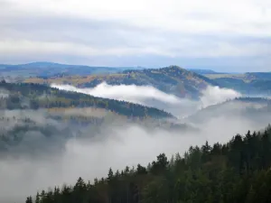 Prodej obchodního prostoru, Karlovy Vary, Šumavská, 78 m2