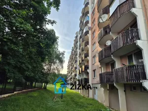 Pronájem bytu 1+1, Brno, Voříškova, 32 m2