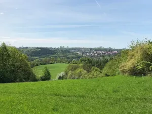 Prodej louky, Praha - Nebušice, U Gabrielky, 24023 m2